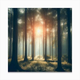 Forest At Sunrise 1 Canvas Print