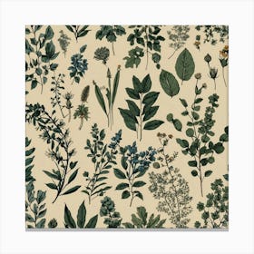 Botanical Print Canvas Print