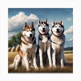 Siberian Huskies Canvas Print