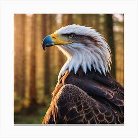 Bald Eagle Canvas Print