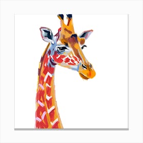 Giraffe 02 Canvas Print