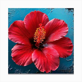 Hibiscus Flower Canvas Print