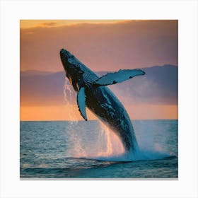 Humpback Whale Breaching 6 Canvas Print