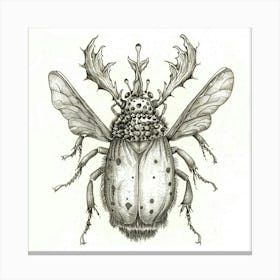 Beetle 9 Canvas Print