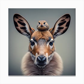 Weird Surreal Photography Wildlife Photography Canvas Print