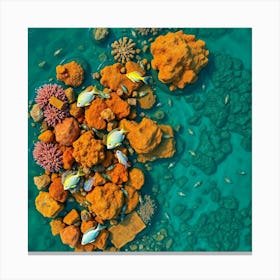 Coral Reef26 Canvas Print