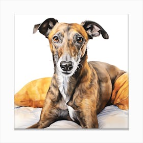 Brindle Greyhound relaxing Canvas Print
