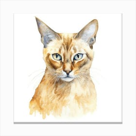 Malayan Cat Portrait Canvas Print