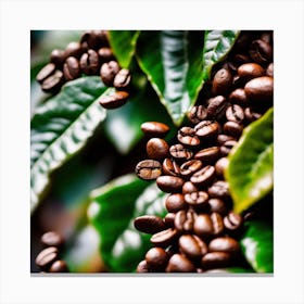 Coffee Beans On A Tree 60 Canvas Print