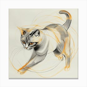 Cat In Motion Canvas Print