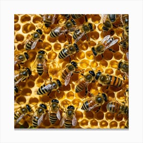 Bees On Honeycomb 10 Canvas Print