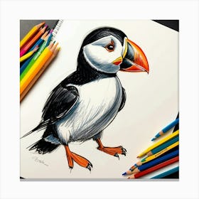 Puffin 7 Canvas Print