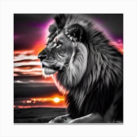 Lion At Sunset 9 Canvas Print