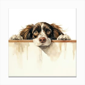 Spaniel American 3 Canvas Print