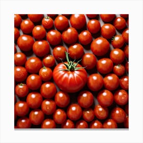 Red Tomatoes 9 Canvas Print