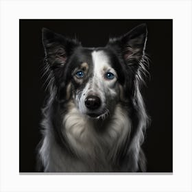 Portrait Of A Border Collie Canvas Print