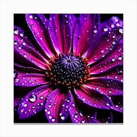 Purple Flower With Water Droplets 5 Canvas Print