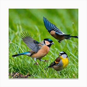 Bird Natural Wild Wildlife Tit Sparrows Sparrow Blue Red Yellow Orange Brown Wing Wings (40) Canvas Print