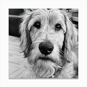 Black And White Dog Portrait Canvas Print