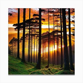 Sunset In The Forest 18 Canvas Print