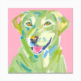 Labrador Retriever 03 Canvas Print