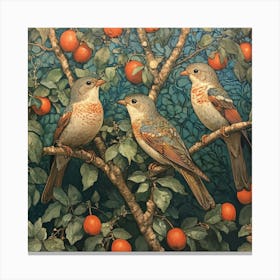 Three Birds In A Tree Art 1 Canvas Print