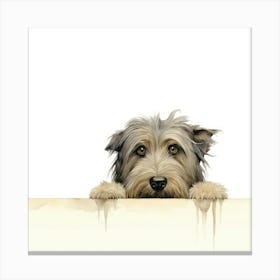 Scottish Terrier 3 Canvas Print