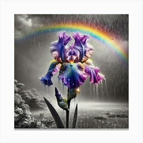 Iris Canvas Print