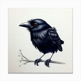 Cute Crow 1 Canvas Print