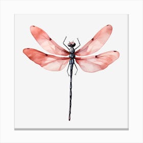 Dragonfly Canvas Print