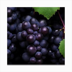 Black Grapes 7 Canvas Print