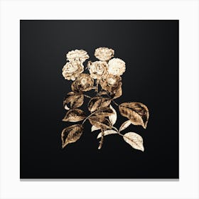 Gold Botanical Seven Sister's Rose on Wrought Iron Black n.3488 Canvas Print