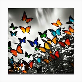 Butterfly Hd Wallpaper Canvas Print