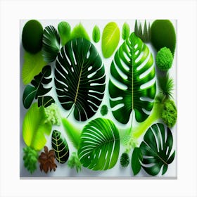 Tropical Leaves, A collection of tropical plants with green leaves Canvas Print