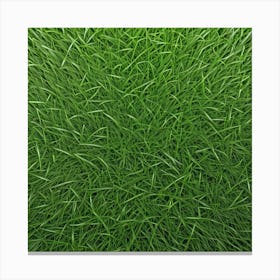 Green Grass Background 2 Canvas Print