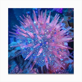 Sea Urchin Pink and Blue Canvas Print