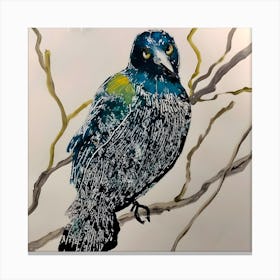 Kiwi Bird Canvas Print