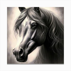 Creative Horse Beauty Illustration Nr 86 Canvas Print