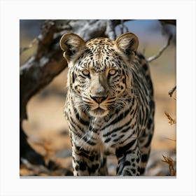 Leopard In The Wild Canvas Print