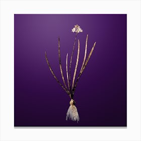 Gold Botanical Spring Squill on Royal Purple n.2084 Canvas Print