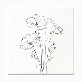 Poppies 35 Canvas Print