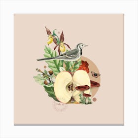 Flora & Fauna with Wagtail 1 Canvas Print