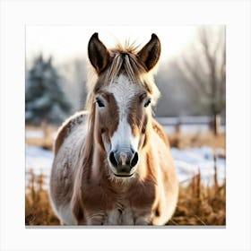 Horse Animal Grass Breeding Head Pasture Donkey Standing Farm Cute White Background Natu (2) Canvas Print