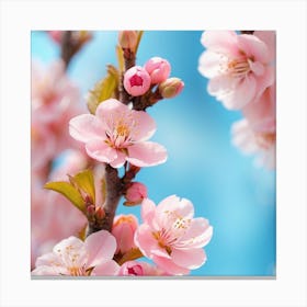 Cherry Blossoms Canvas Print