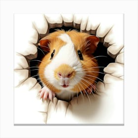 Guinea Pig 12 Canvas Print