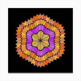 Color Rosette Canvas Print