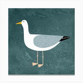 Cheeky Seagull on Teal Green Canvas Print