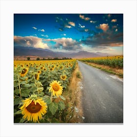 Sunflower Field 1 Canvas Print