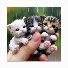 Three Kittens In The Rain 1 Canvas Print