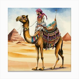 Egyptian Camel 3 Canvas Print
